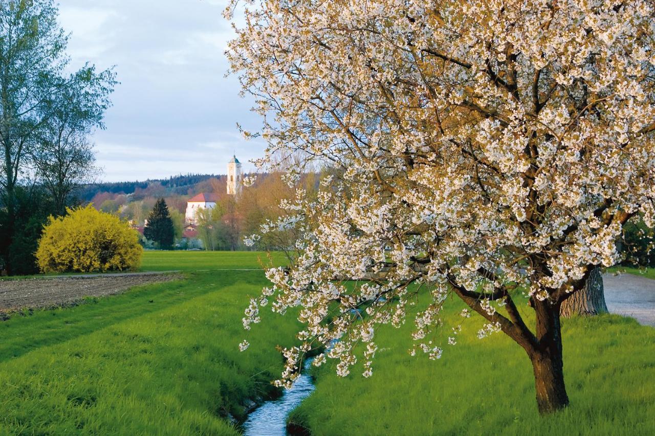 Best Western Aparthotel Birnbachhoehe Bad Birnbach Buitenkant foto