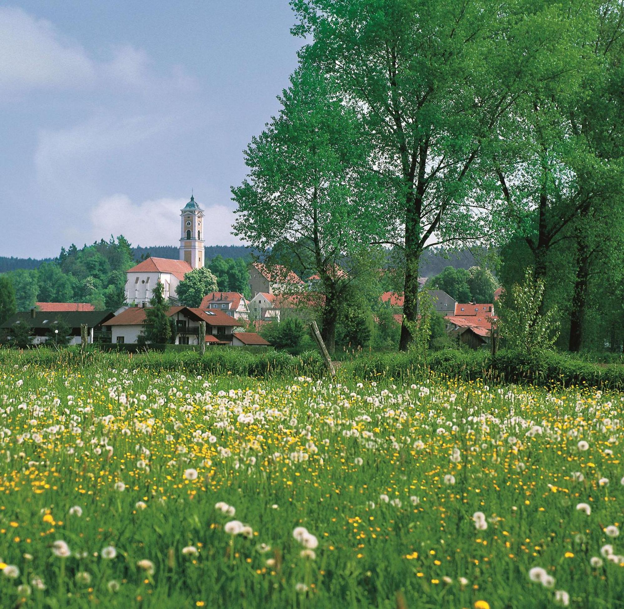 Best Western Aparthotel Birnbachhoehe Bad Birnbach Buitenkant foto